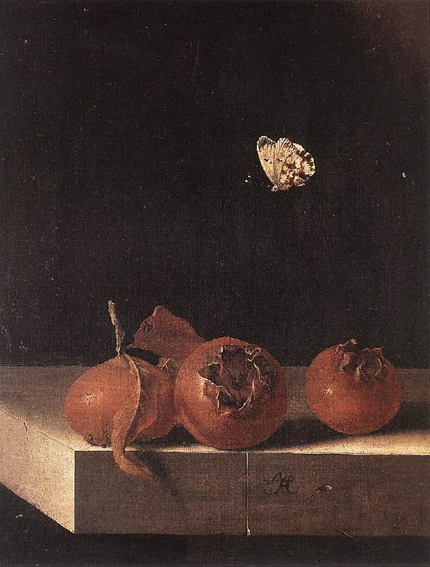 COORTE, Adriaen Three Medlars with a Butterfly df